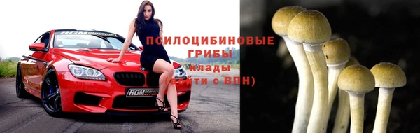 apvp Нягань