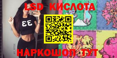 мдпв Донецк