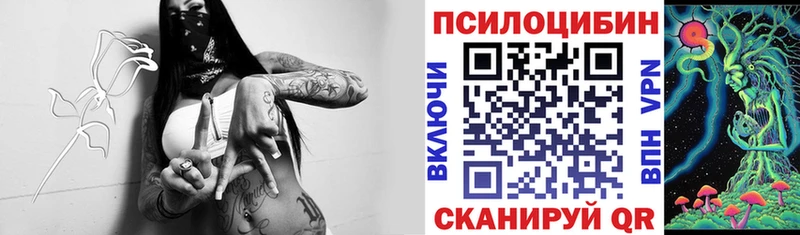 Псилоцибиновые грибы Psilocybe  Мурино 