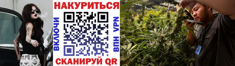 закладка  Мурино  Шишки марихуана Amnesia 